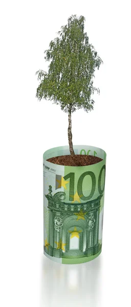 Träd växer från euro bill — Stockfoto