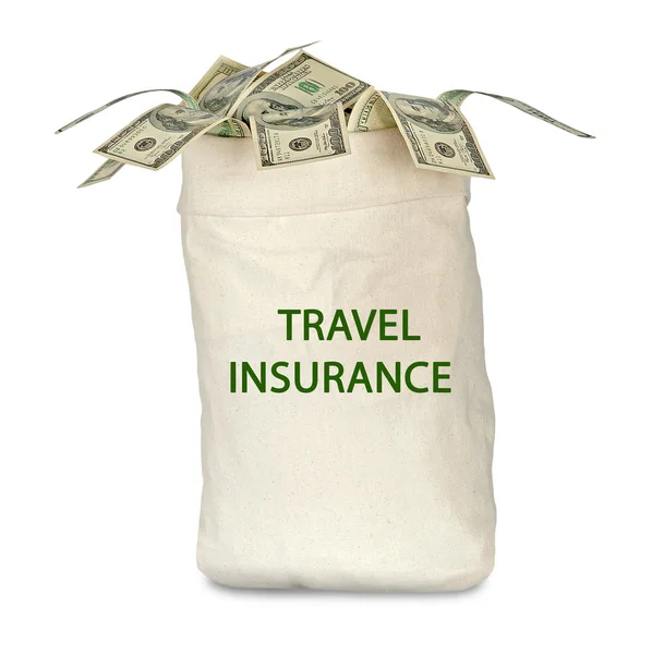 旅行保険とバッグします。 — ストック写真