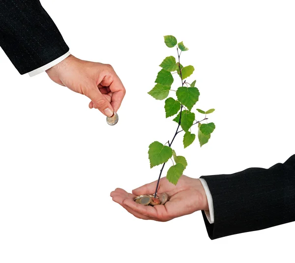 Investeringar till gröna affärer — Stockfoto