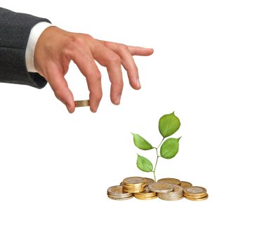 Sapling growing from coins clipart