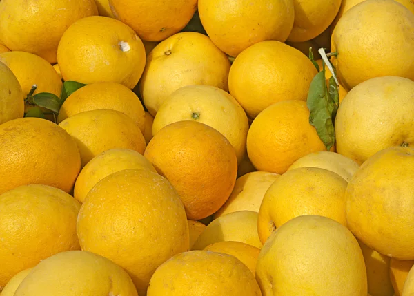 stock image Pile of grapefruits