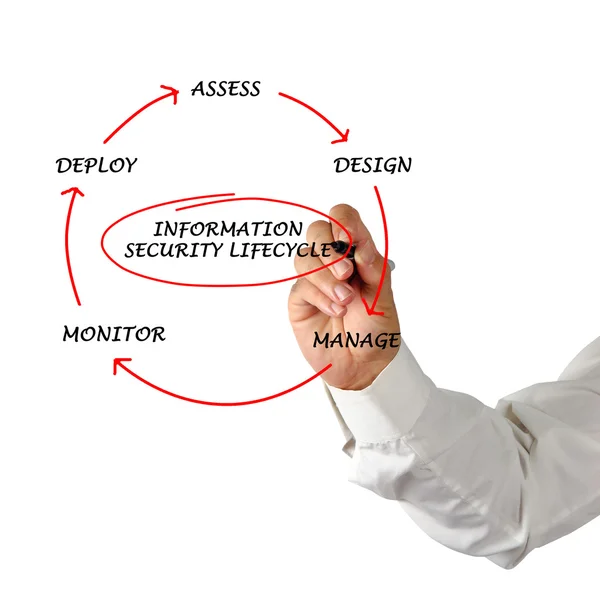 Diagram över information security lifecycle — Stockfoto