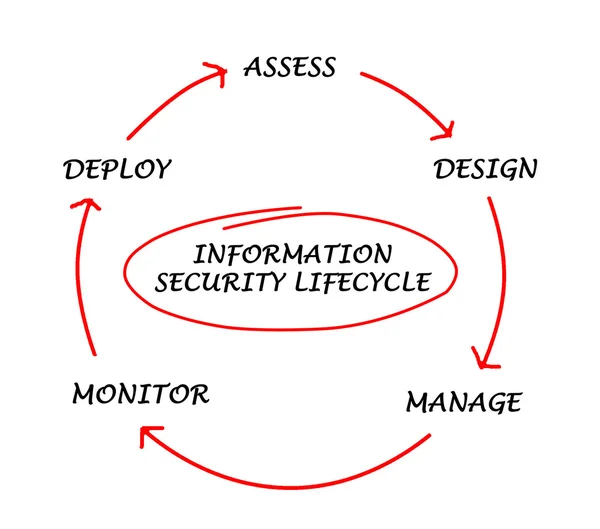 Діаграма життєвого циклу інформаційної безпеки — стокове фото