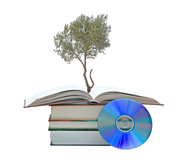 Träd växer från bok — Stockfoto