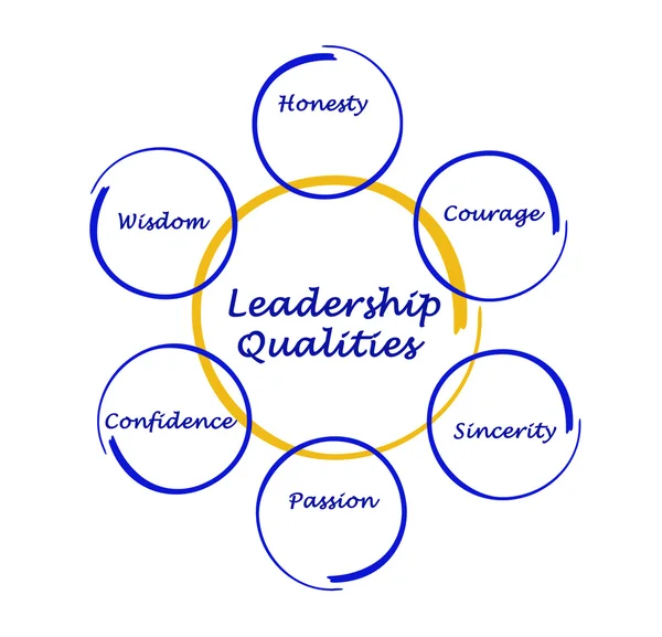 Diagram of leadership qualities — Stock Photo, Image