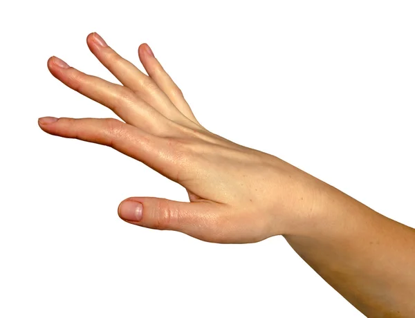Mãos gestuais femininas — Fotografia de Stock