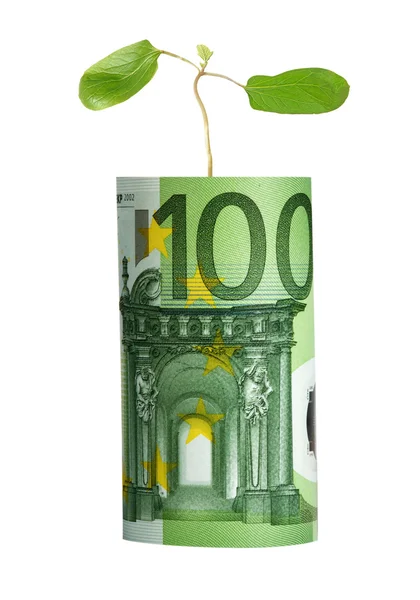 ユーロ紙幣から成長する苗木 — ストック写真