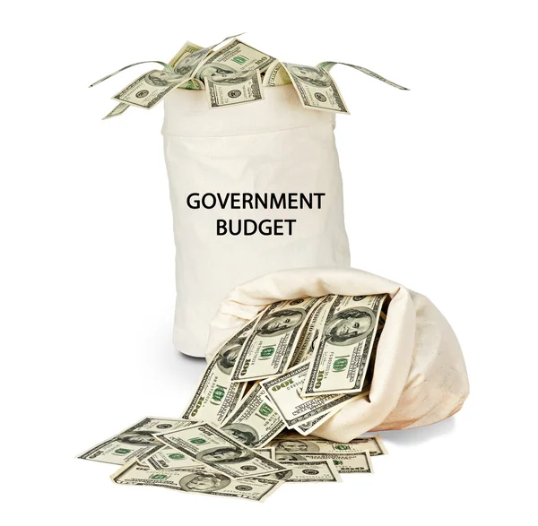 stock image Government budget