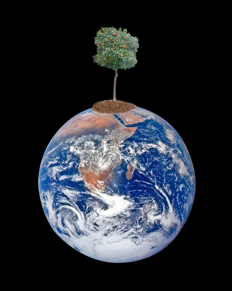 Baum auf Erden als Symbol des Ackerbaus und der Welternährung — Stockfoto
