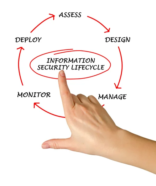 Diagram van informatie beveiliging lifecycle — Stockfoto