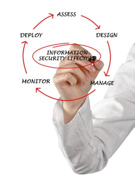 Diagram of information security lifecycle clipart