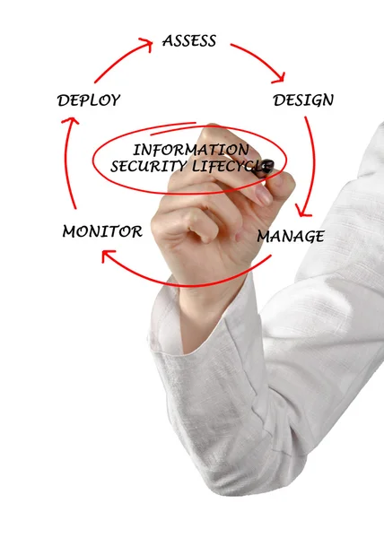 Diagrama del ciclo de vida de la seguridad de la información — Foto de Stock