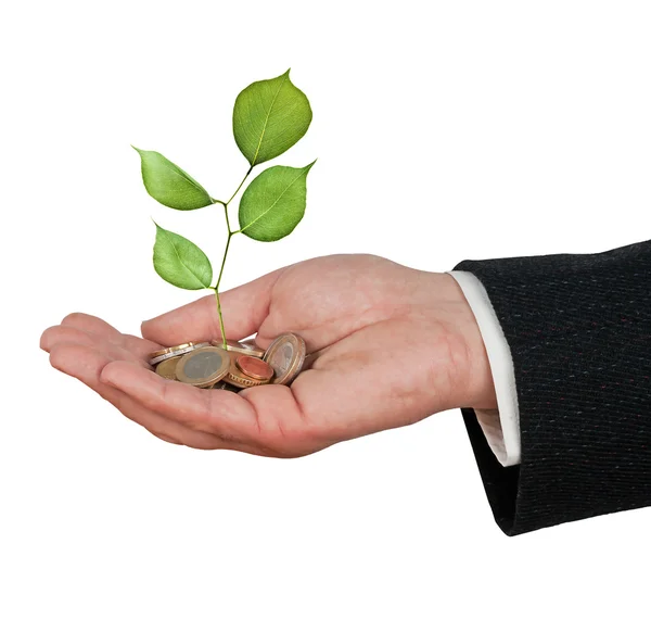 Investitionen in grüne Unternehmen — Stockfoto