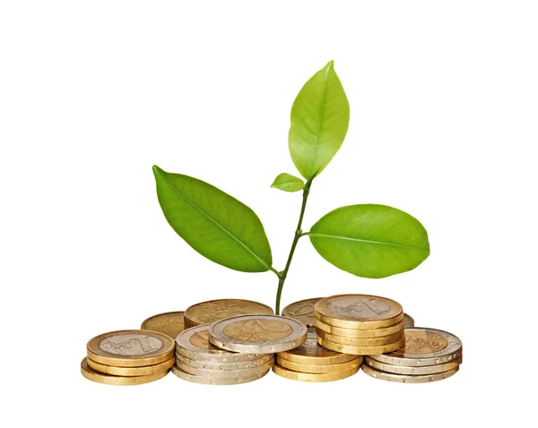 Invertir en negocios verdes — Stockfoto