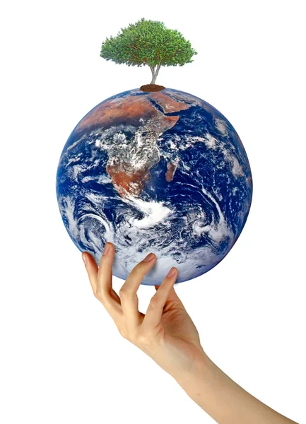 Planet earth as symbol of nature conservation.Elements of this i — Stock Photo, Image