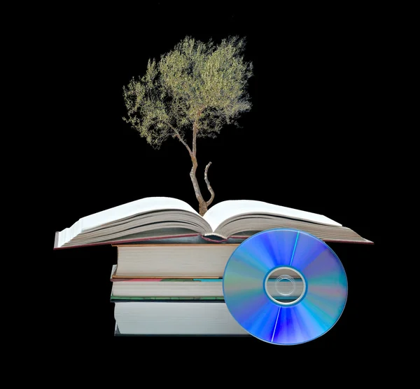 Оливковое дерево, растущее из открытой книги — стоковое фото