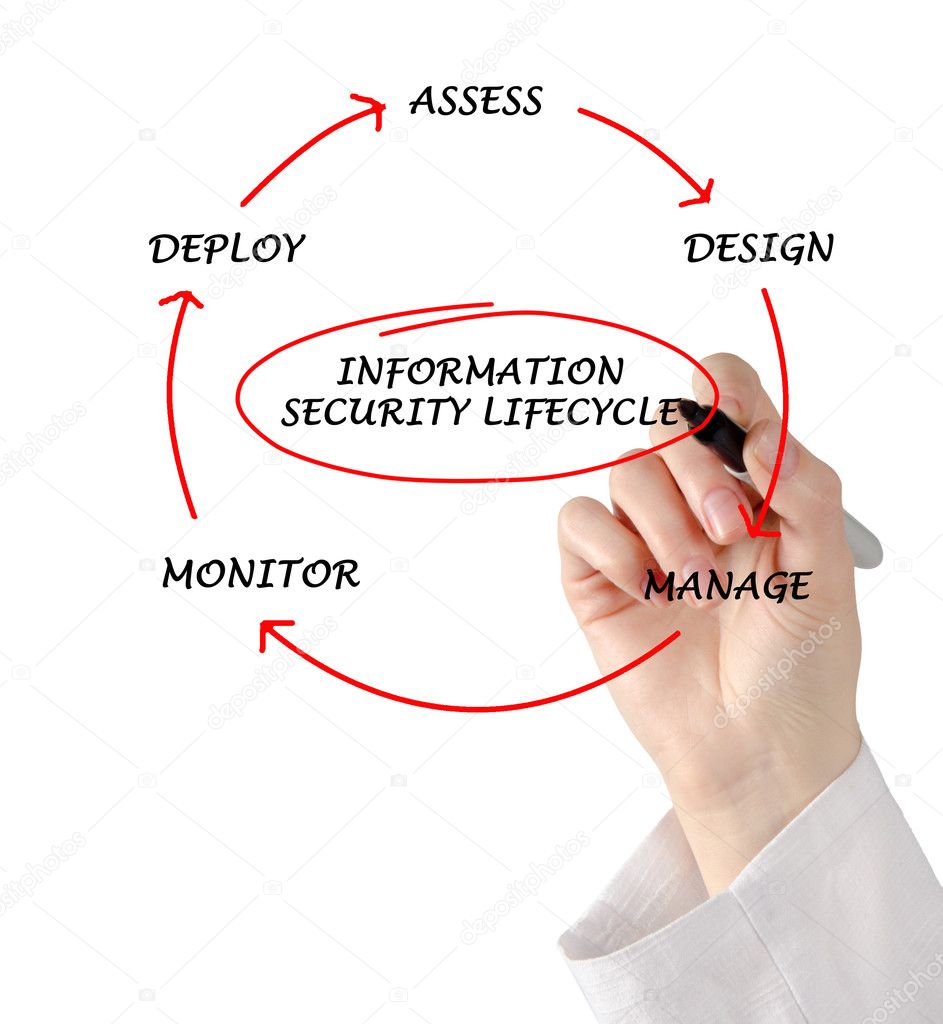 Diagram of information security lifecycle