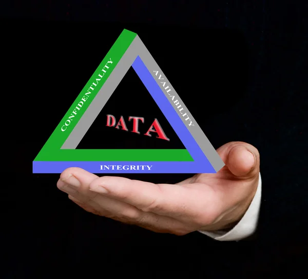 데이터 관리의 원칙 — 스톡 사진