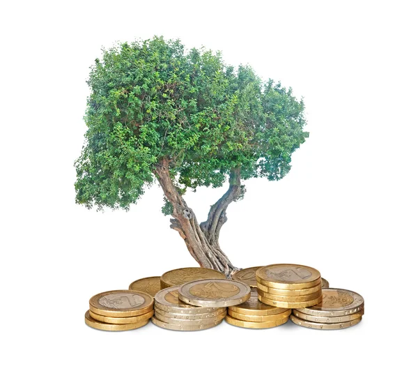 Δέντρο καλλιέργεια από κέρματα — Φωτογραφία Αρχείου