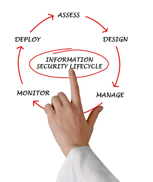 Diagramme du cycle de vie de la sécurité de l'information — Photo