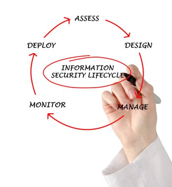 Diagram of information security lifecycle clipart