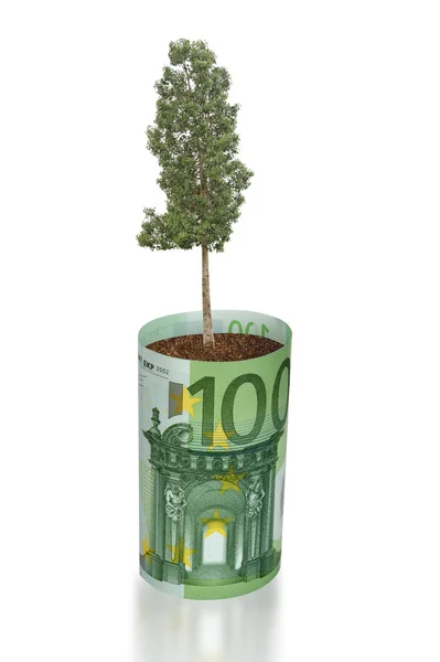 Árbol que crece de la factura del euro —  Fotos de Stock