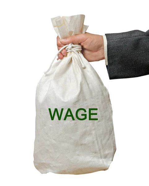 Bag with wage — Stock Photo, Image
