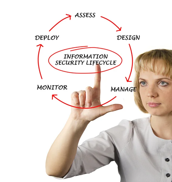 Bilgi güvenliği yaşam döngüsü diyagramı — Stok fotoğraf