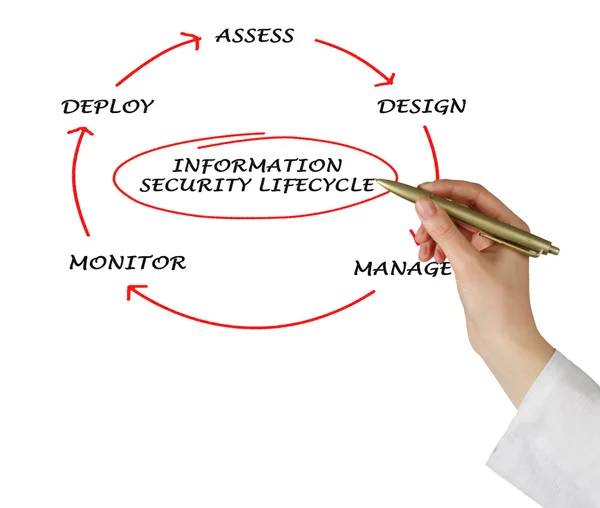 Diagrama del ciclo de vida de la seguridad de la información —  Fotos de Stock
