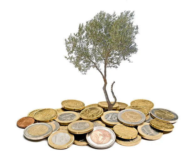 Olivträdet växer från högen av mynt — Stockfoto