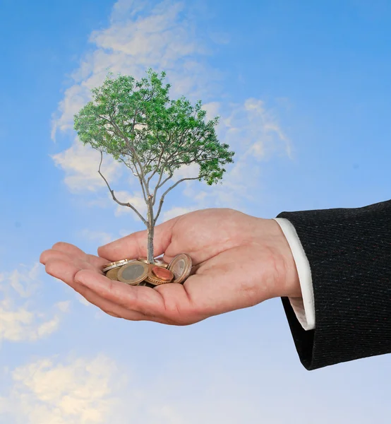 Palma con un árbol cultivado a partir de un montón de monedas — Foto de Stock