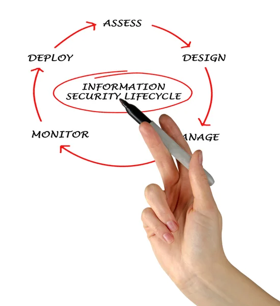 Schemat cyklu bezpieczeństwa informacji — Zdjęcie stockowe