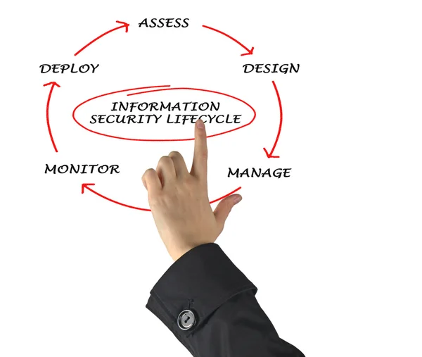 Diagrama del ciclo de vida de la seguridad de la información —  Fotos de Stock