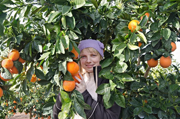 Donna che tiene arance mature — Foto Stock