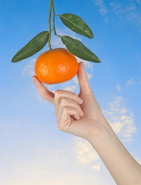 Woman holding ripe tangerine — Stock Photo, Image