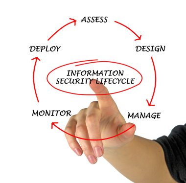 Information security lifecycle clipart