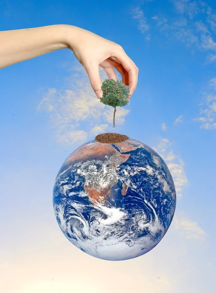 Baum auf Erden als Symbol des Ackerbaus und der Welternährung. — Stockfoto