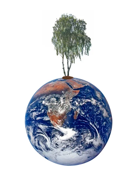 Planet Earth som et symbol på naturvernet.Elementer av dette i – stockfoto