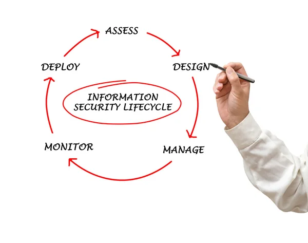 Diagramm des Lebenszyklus der Informationssicherheit — Stockfoto