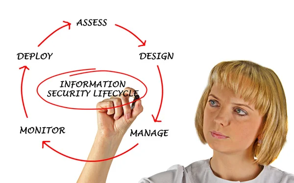 Diagrama del ciclo de vida de la seguridad de la información — Foto de Stock