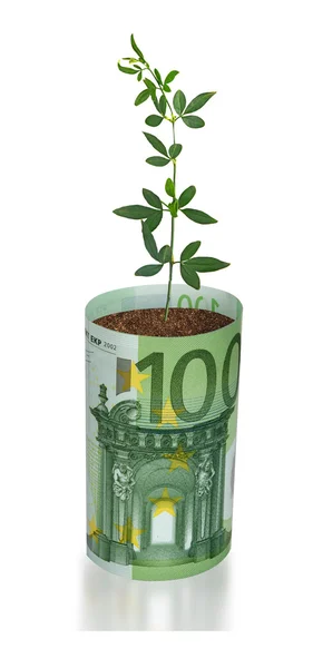 Plantan växer från eurosedeln — Stockfoto