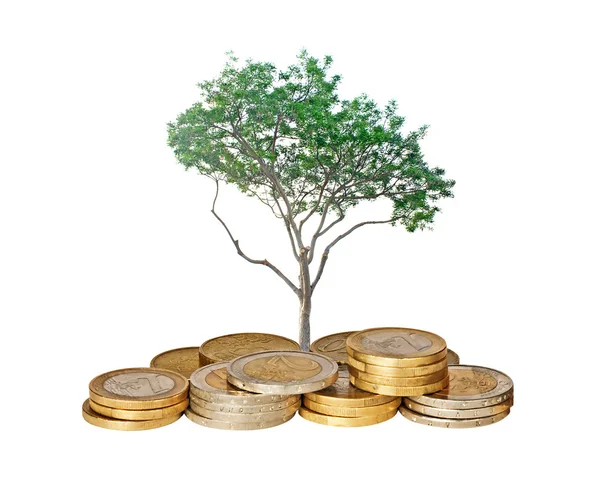 Strom, který roste z mince — Stock fotografie