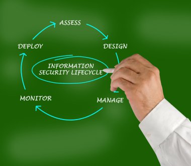 Diagram of information security lifecycle clipart