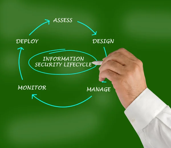 stock image Diagram of information security lifecycle