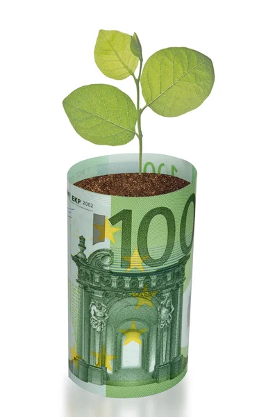 Planta som växer från eurosedeln — Stockfoto