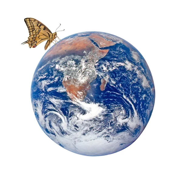 Butterfly on planet Earth.Elements of this image furnished by NA — Stock Photo, Image