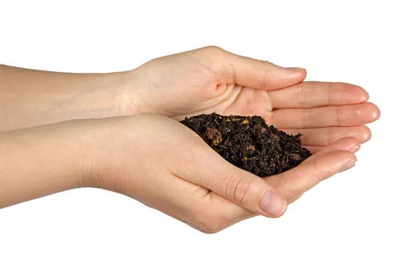stock image Hands with soil