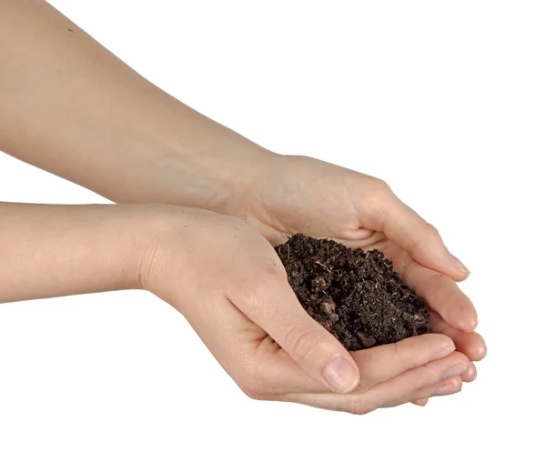 stock image Hands with soil