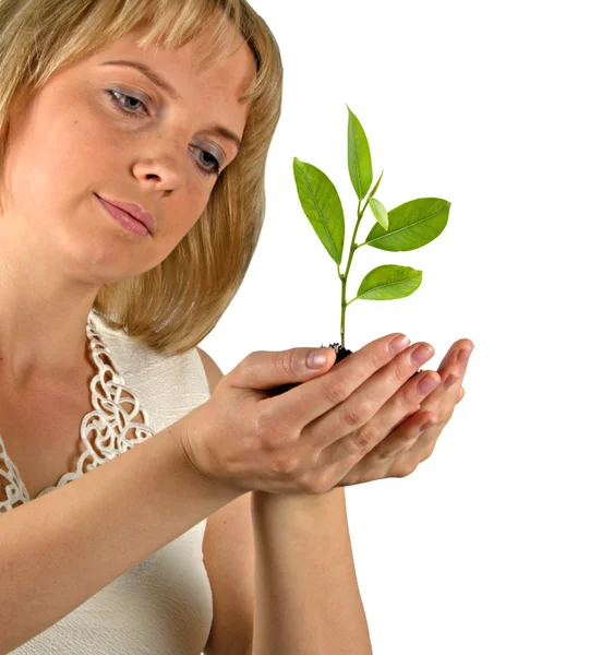 Mulher plantando brotos cítricos — Fotografia de Stock
