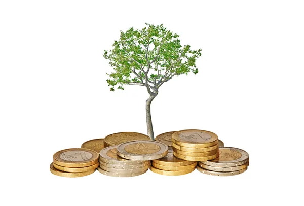 Árbol creciendo a partir de monedas — Foto de Stock